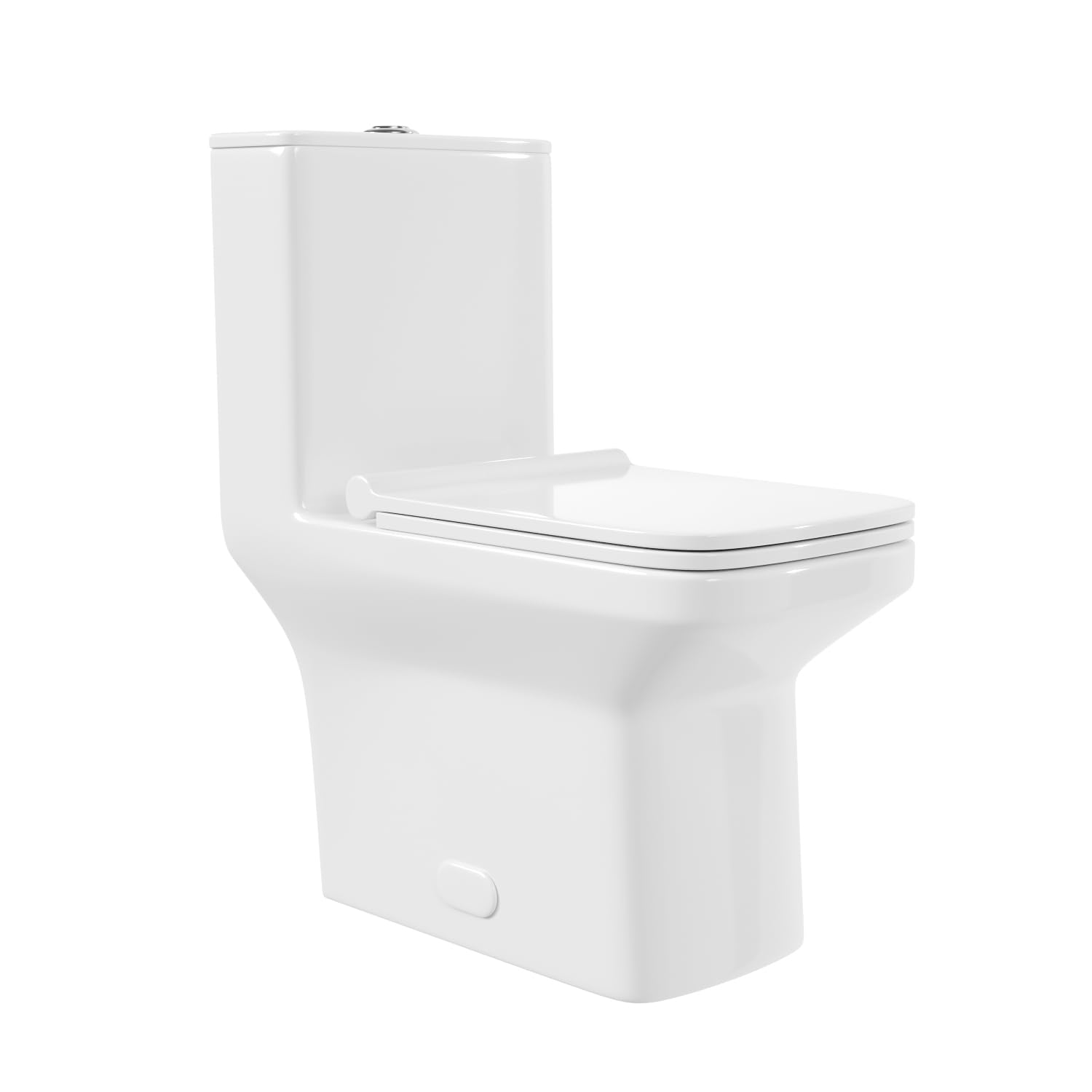 Zalorin One Piece Toilet,   Modern Elongated Toilet Power Dual Flush 1.1/1.6 GPF Toilet for Bathroom 12" Rough in Rectangular Bowl, 1000g MaP